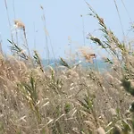 Cal Garreta Σπίτι διακοπών *