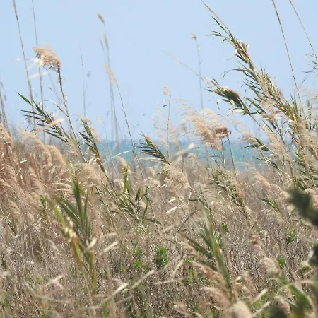 Cal Garreta Holiday home *